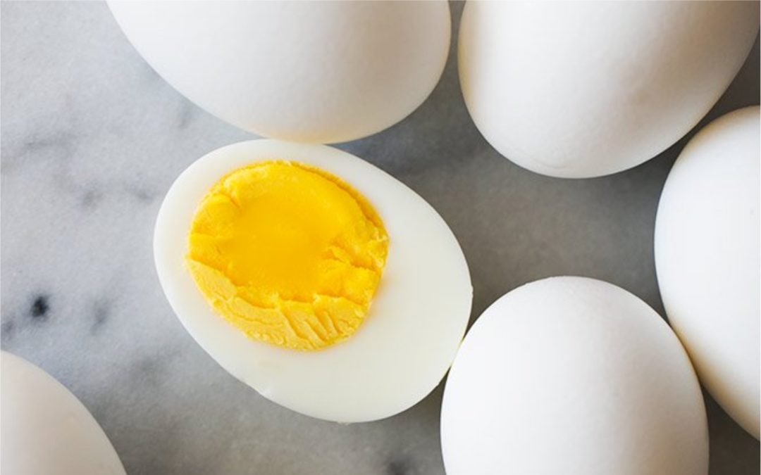 Kandungan Gizi Pada Telur